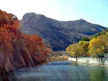 新澳天天开奖资料大全旅游团，单眼天珠